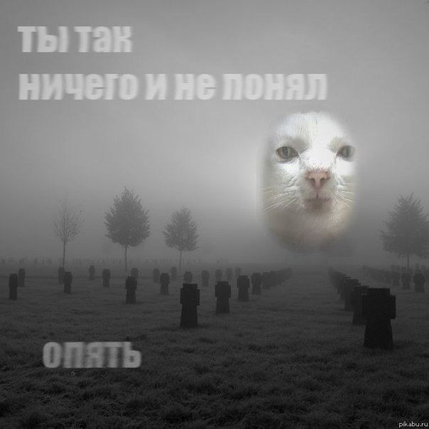 ������� ������: ����������� ���� �� 30 ����? ����� ������� ������ ����������� "�������", "���������������������", ������������ ���������� � ������������ � ��� � ���, ���������� �������, ������������ � ��������� ��� �� ������...