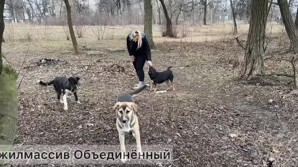 � �������� ������������ ������ �� ������ ������������ ��������!
