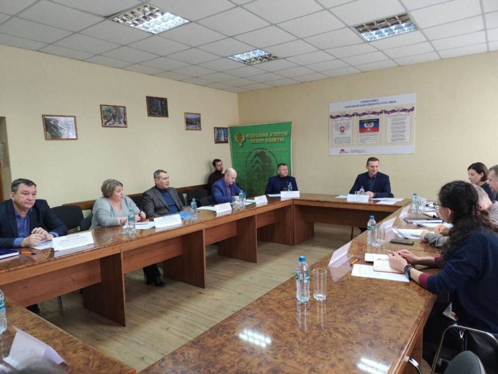 Вице-премьер Владимир Ежиков: Усиливаем работу по озеленению Республики – в рамках поручения Главы региона Дениса Пушилина