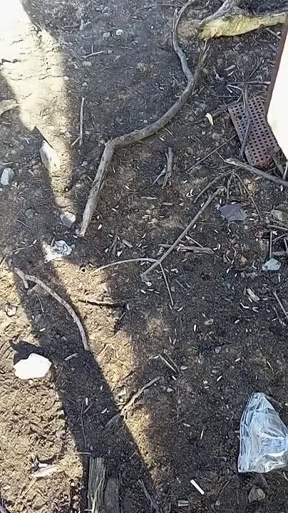 Чингис Дамбиев: Южно-Донецкое направление. Русские штурмовики проходят мимо уничтоженной колонны бронетехники украинских формирований