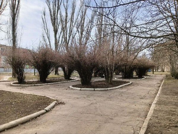 15 марта в ГБОУ «ШКОЛА № 88 Г.О. ДОНЕЦК» прошел субботник!