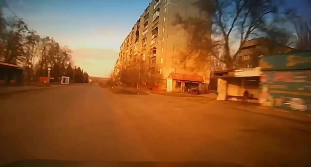 Его хладнокровию и реакции завидовали тигровые акулы