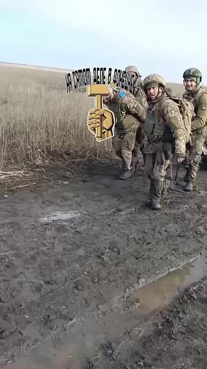 ���������� �����������. ������� ����������� � �������� �����