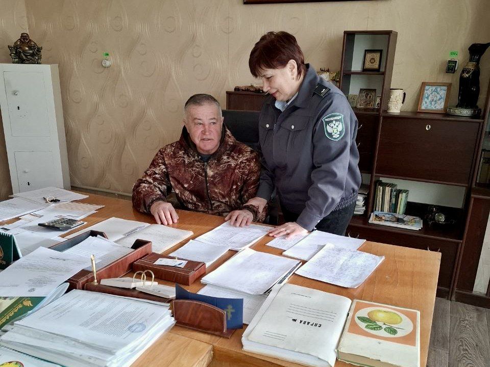 14 ����� ������������ ���������� ����������������� �� �������� �������� ���������� � ��������� �������� ���������� ��������� ���������������� ������ �� ���������� �������������� ��� �� ����� ������������� ������������: ��...