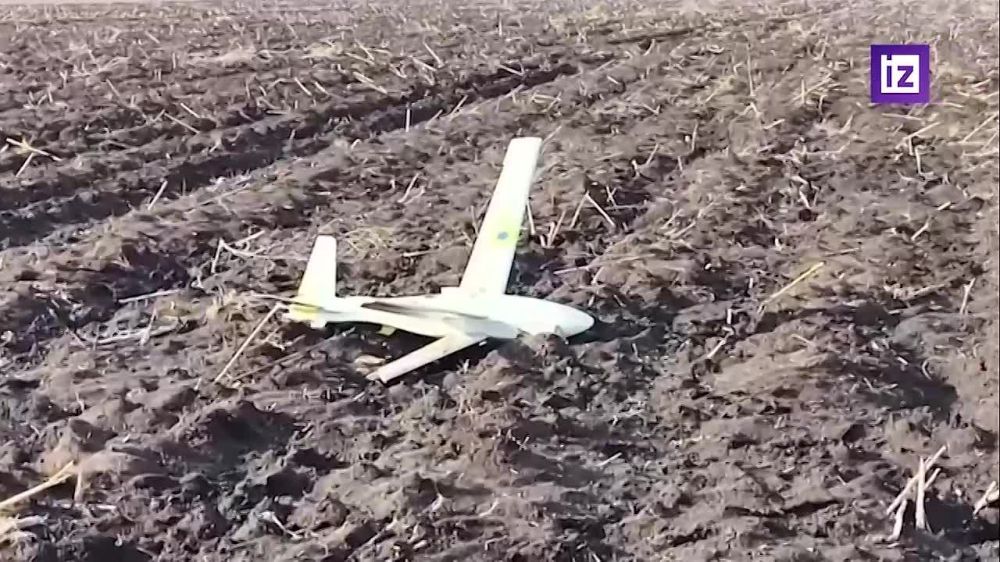 ������� "����� ��������" ������� 198 ���� ���������� ���� �� ��������� ������