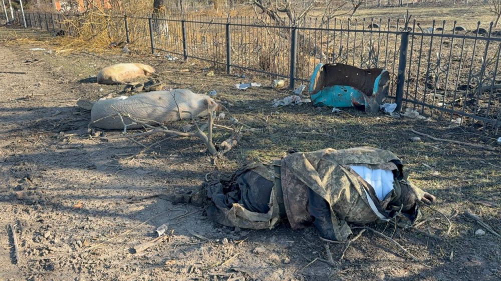 ���� �� ����� ���������, ������������ ������� ��� ������� � ��������� �������