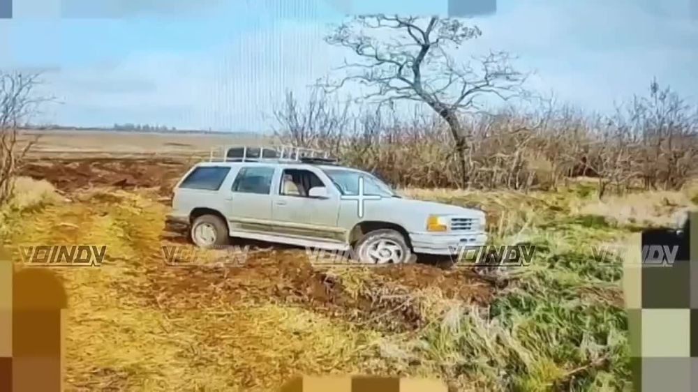 ���������� "�������� ������" 14 ��������� ����������� ������� �������� ����������� "������" ���������� ��������� ������� �� ����-�������� �����������