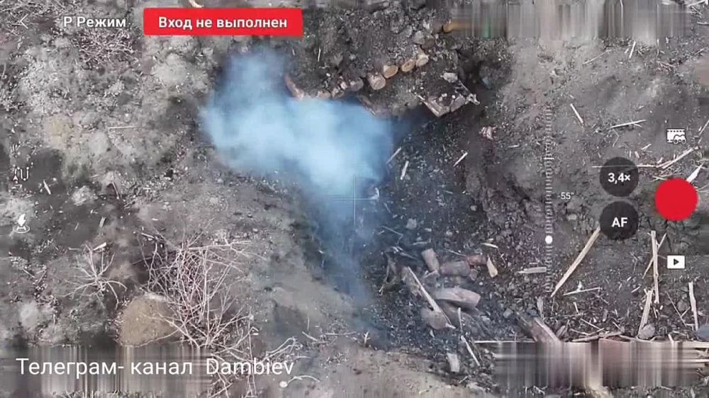  :  37      &quot;&quot;         - 