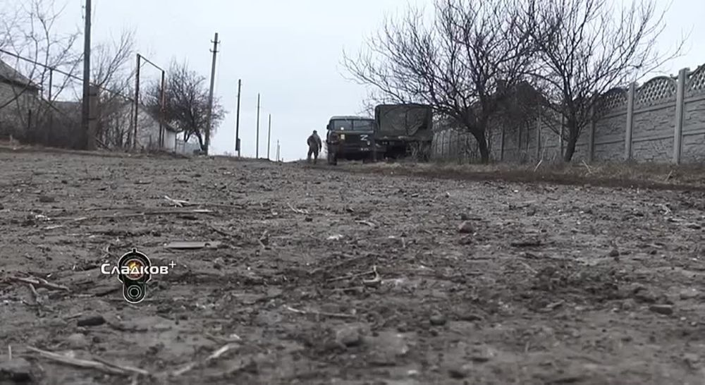  :       ,  , ,          ,   