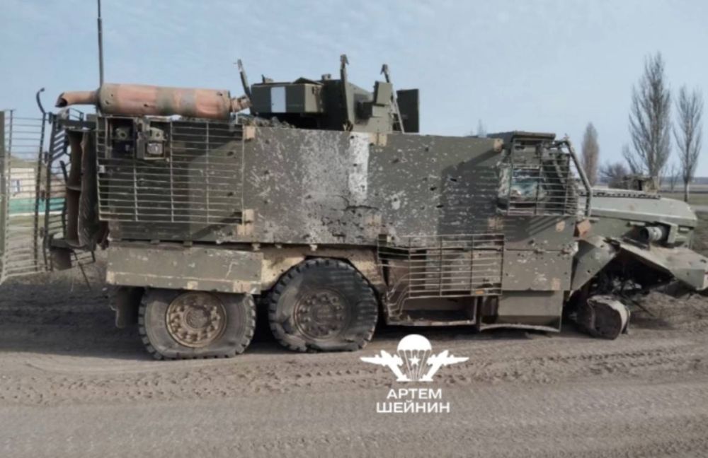 ���� ������: ����-�������� �����������