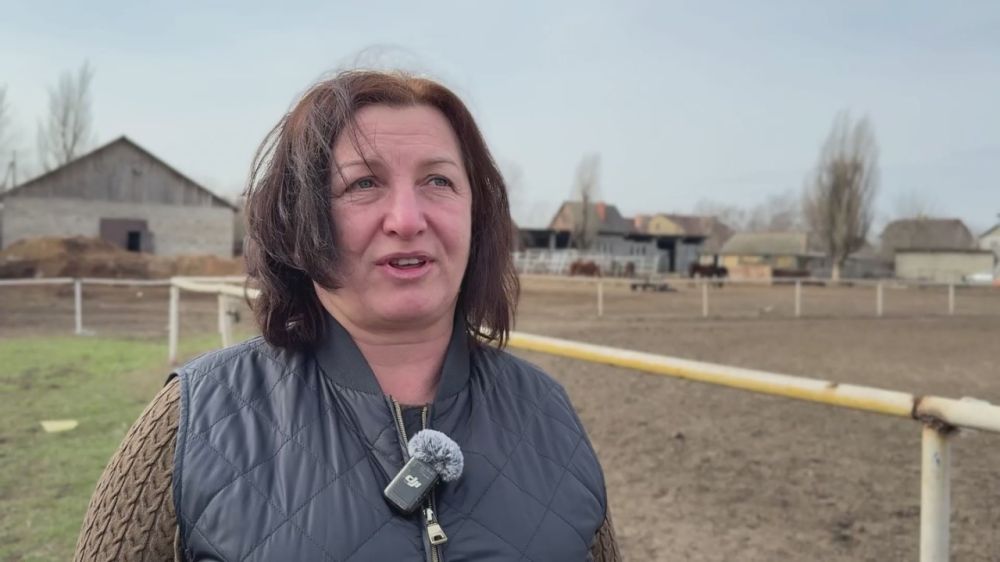 Двое за неделю: в макеевской спортивной школе “Локомотив” на свет появились жеребята