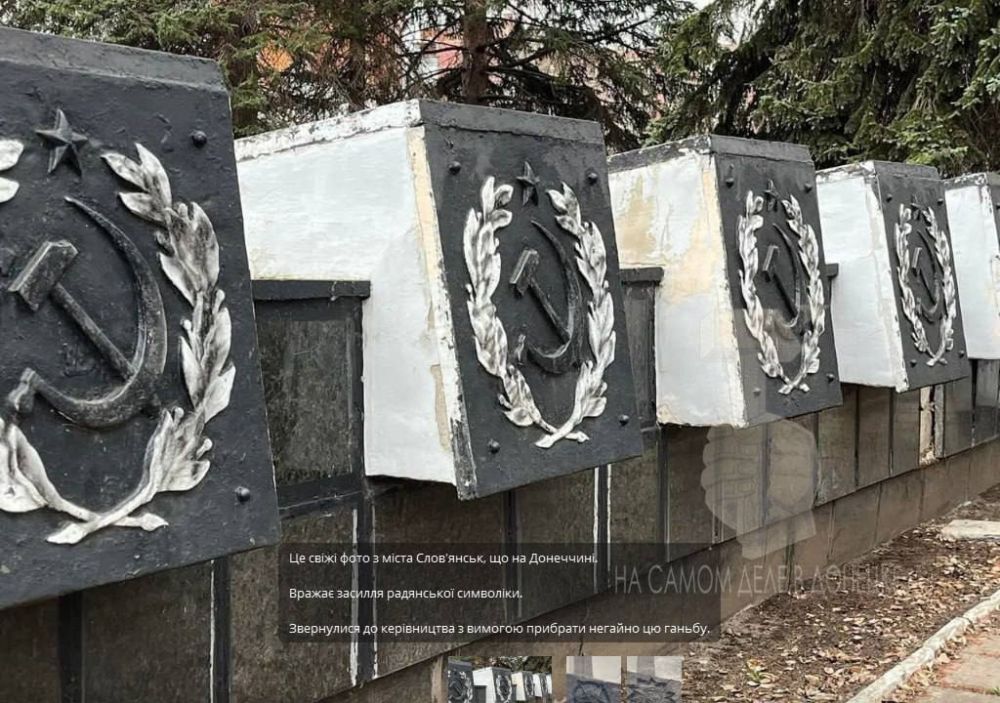 Неонацисты всеми силами пытаются нагадить в русских городах