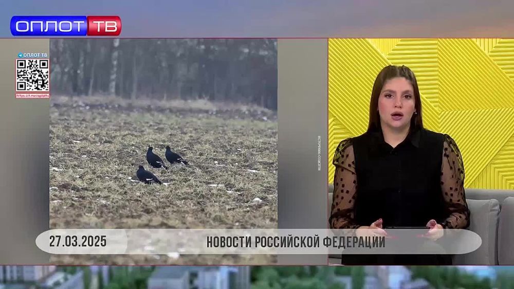 Большой московский цирк выделит 1 млн руб