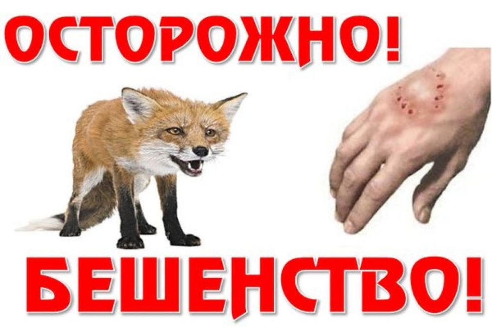 Михаил Меренков: ВНИМАНИЕ ВАЖНАЯ ИНФОРМАЦИЯ