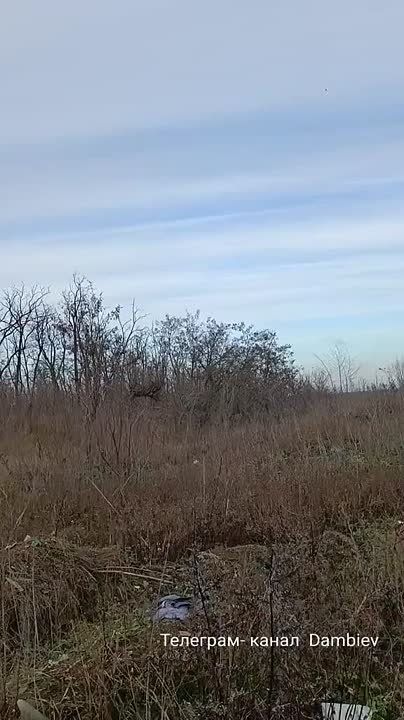  :  &quot;&quot;   &quot; &quot;  - 