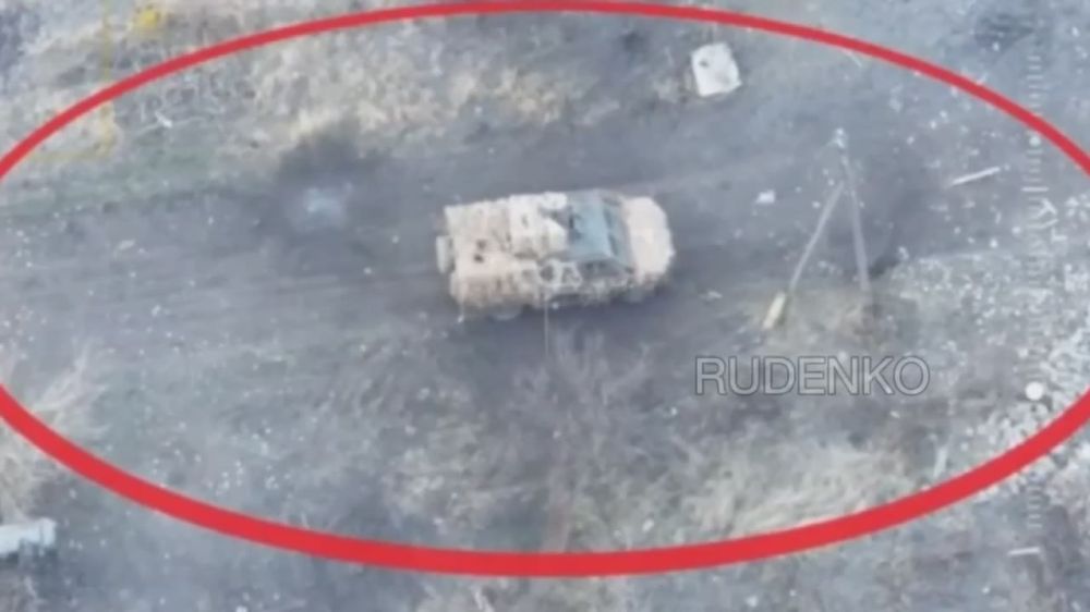  :  FPV-       ,    ,          - 