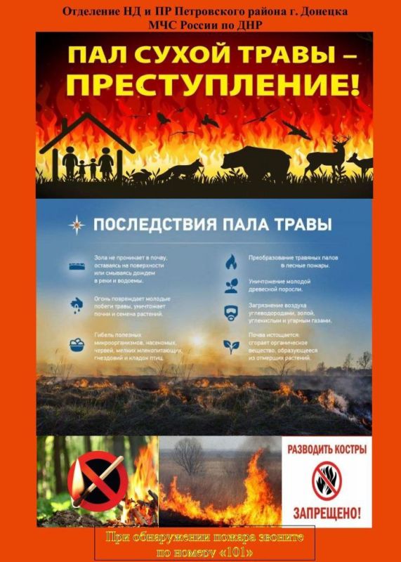 Наталья Бегуненко: Уважаемые жители Петровского района