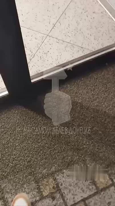 �������� � �������� ���������� ������� ������� � ������� � ������� ��������� �������� �� ������
