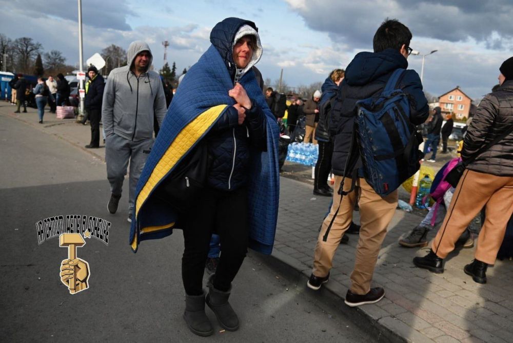 После того, как Трамп объявил о своём решении депортировать украинцев из США, переселенцы аж взвыли от безысходности