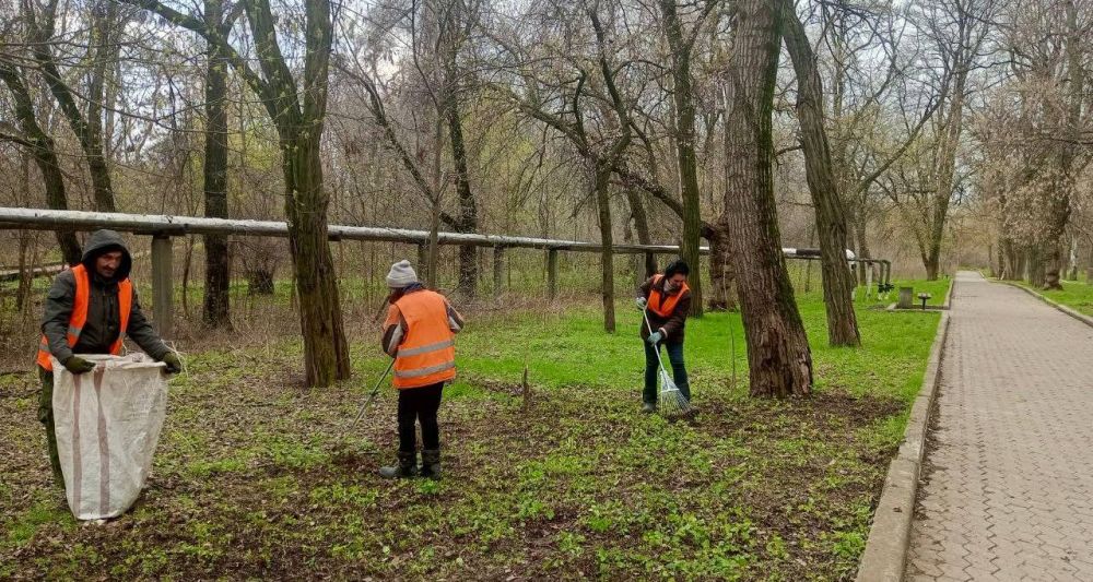 Михаил Меренков: Трудовой день рабочих зелёного строительства Буденновского района 8 апреля