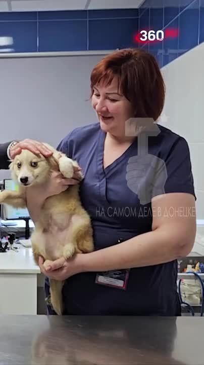 Мирной ночи — любимому Донецку