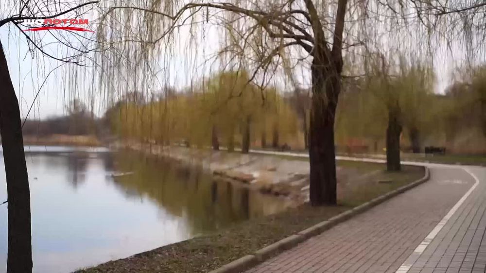 "ШПОТОМ": Разговор о подвиге ребят на СВО, дружбе и решительной помощи