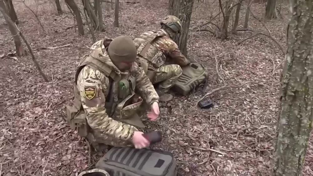  :  fpv-       ,     - 