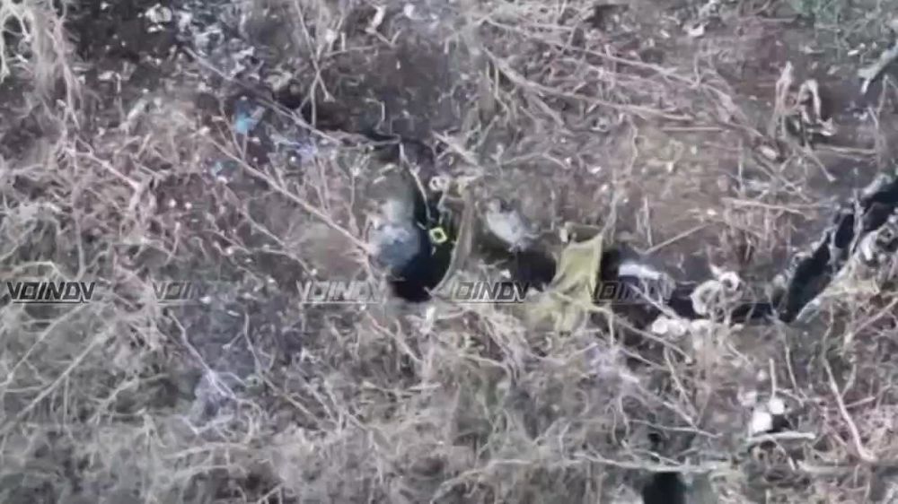 И ещё один новый продукт "Грозы":