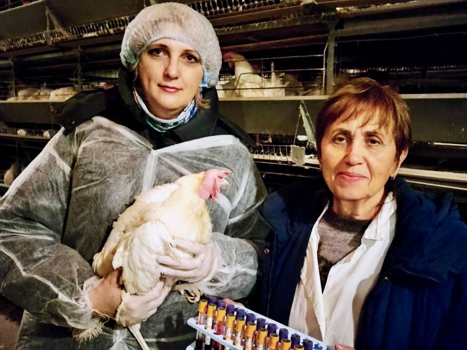 9 апреля в рамках проведения эпизоотического и пищевого мониторингов Донецкой Народной Республики сотрудниками Управления Россельхознадзора по Донецкой Народной Республике и Луганской Народной Республике совместно с...