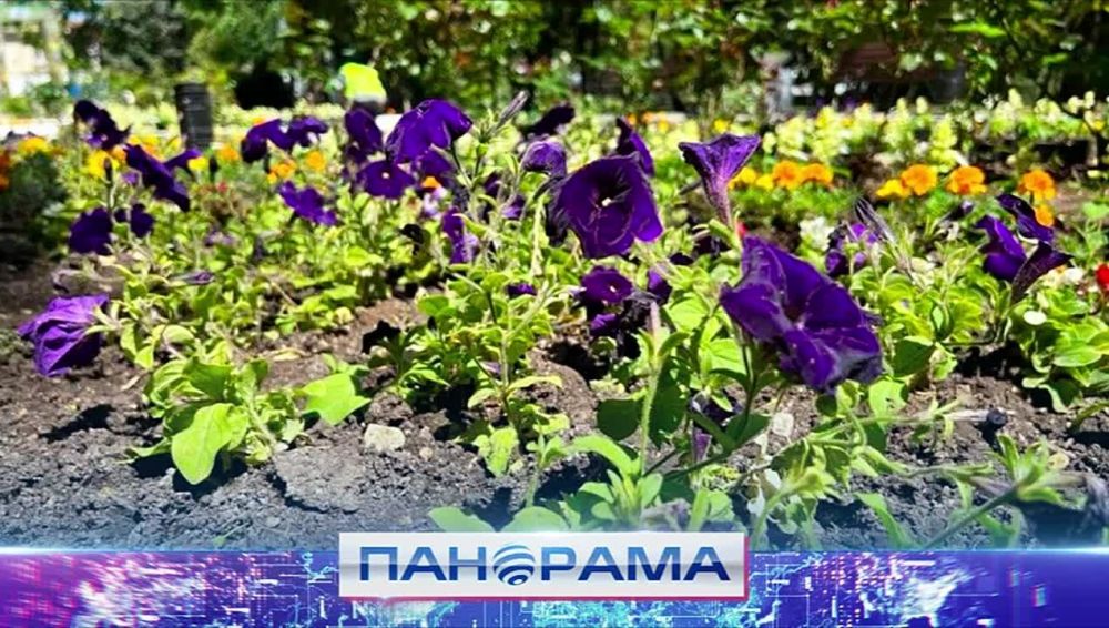 ������ ����� ������ ������� ������� ���������� ����� �������� �����������! ��� � ��� �� ����������?