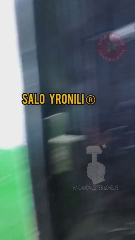 ���������/��������