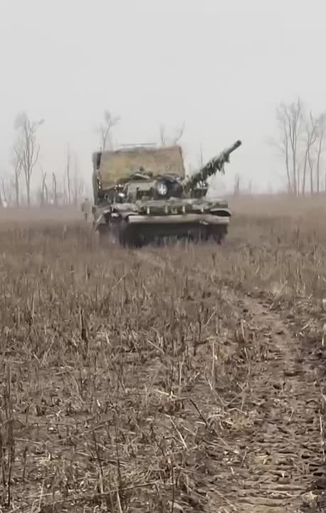  :  5      &quot;&quot;       -    -721  