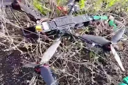 �� ������ ������ �������� ������ ����� 300 ���� ���������� ������������� � ���