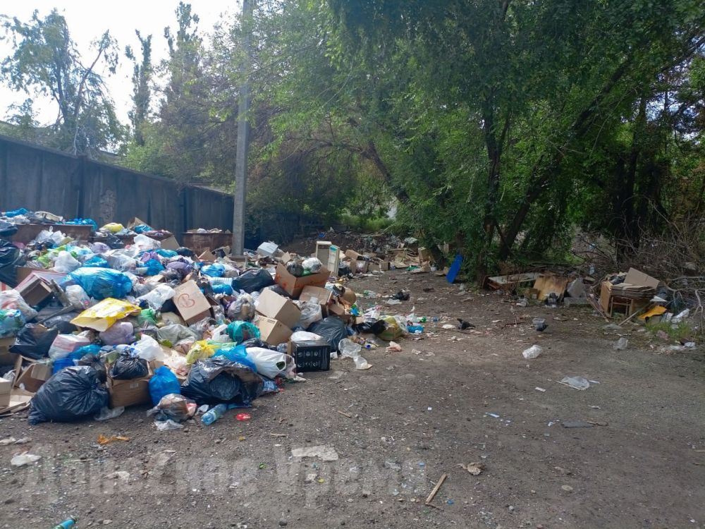 Сим-карты, мусор и ремонты: властям ДНР поручили разобраться с актуальными проблемами