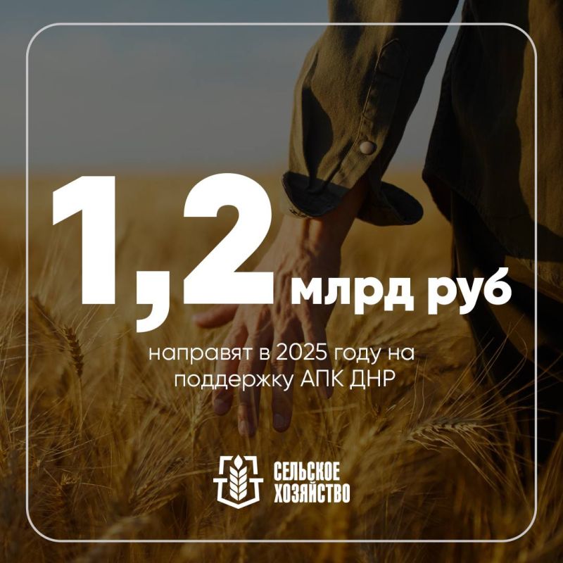 В 2025 году аграрии ДНР получат 1,2 млрд рублей господдержки