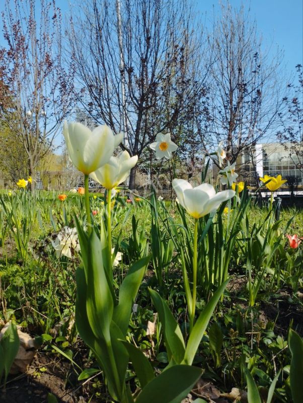 Погожий весенний день. Тепло и солнечный свет, наконец, пришли в любимый город