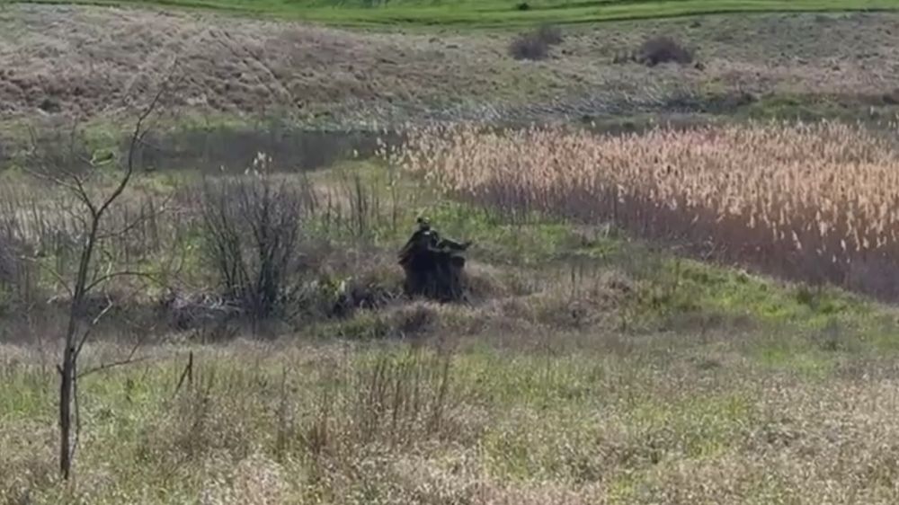 ��������� ����� ������� ������ ��������� � ��������������� ������ ����������� ������ ��. ����� ������ ��������� ���� (����) � �������� �������� ����������