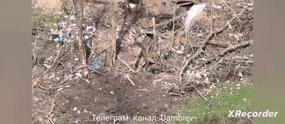  :          -1 &quot;&quot;    - 