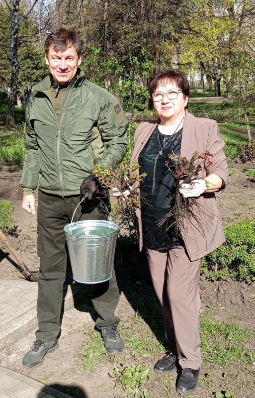 Посадить дерево — сохранить память!