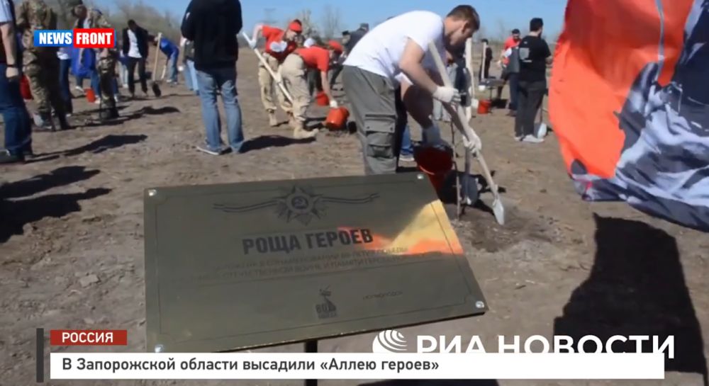 В Запорожской области высадили «Аллею героев»