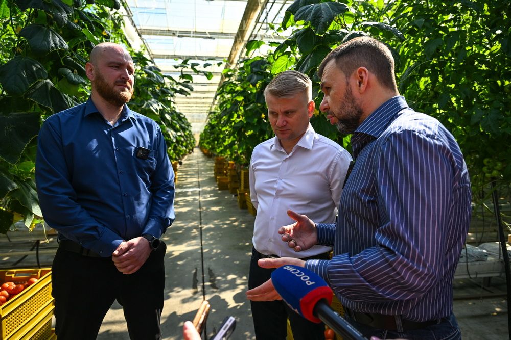 Вопрос цены и качества. Денис Пушилин предложил создать в Республике сеть тепличных хозяйств