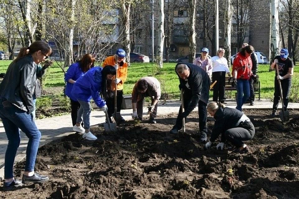 На площади Победы высадили 200 кустов роз: многострадальный Петровский район Донецка постепенно возвращается к мирной жизни