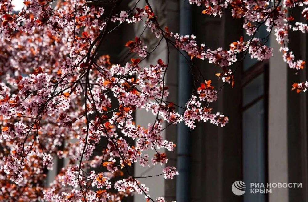 Погода на новых территориях России