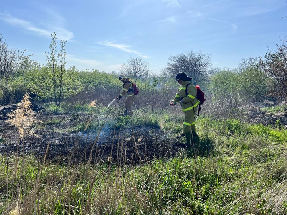 Добровольцы Донецкого РО ВСКС оперативно ликвидировали возгорание в пгт Зуевка