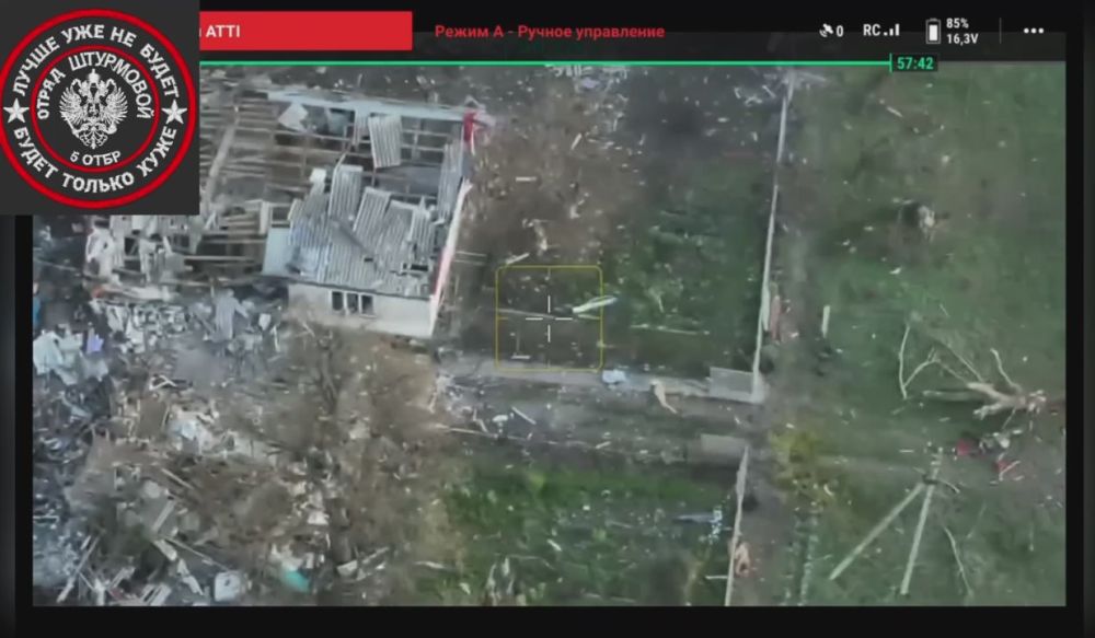 Сначала "выкурить", а затем зачистить