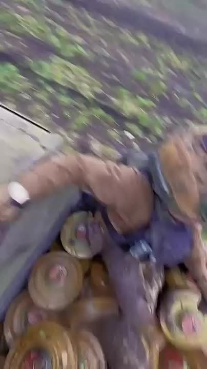 В 22 омбр появились еще одни номинанты на премию Дарвина