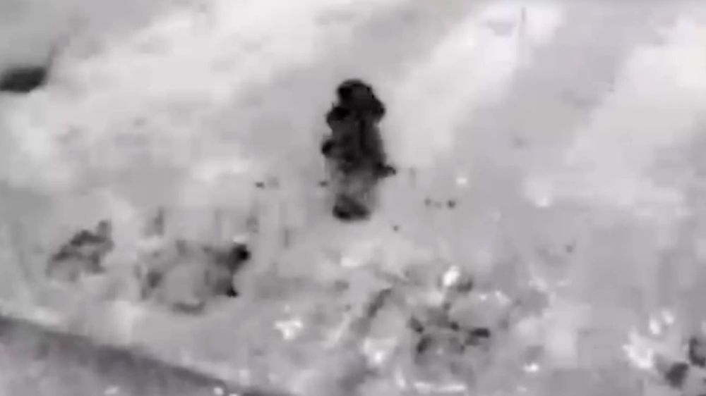 Операторы FPV-дронов подбили американский БТР и поразили пехоту ВСУ в ДНР