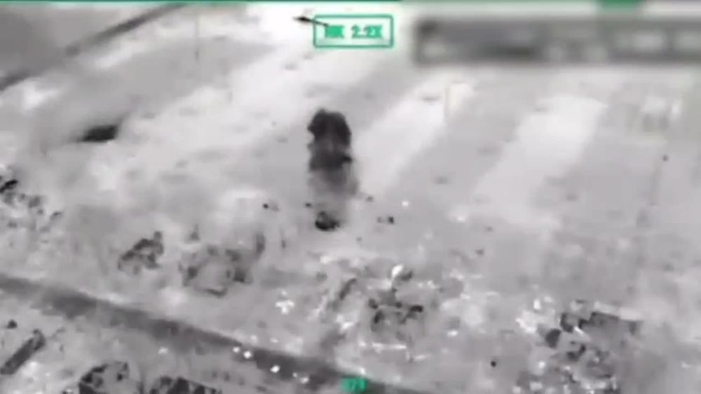  :    &quot;&quot;     113      - 