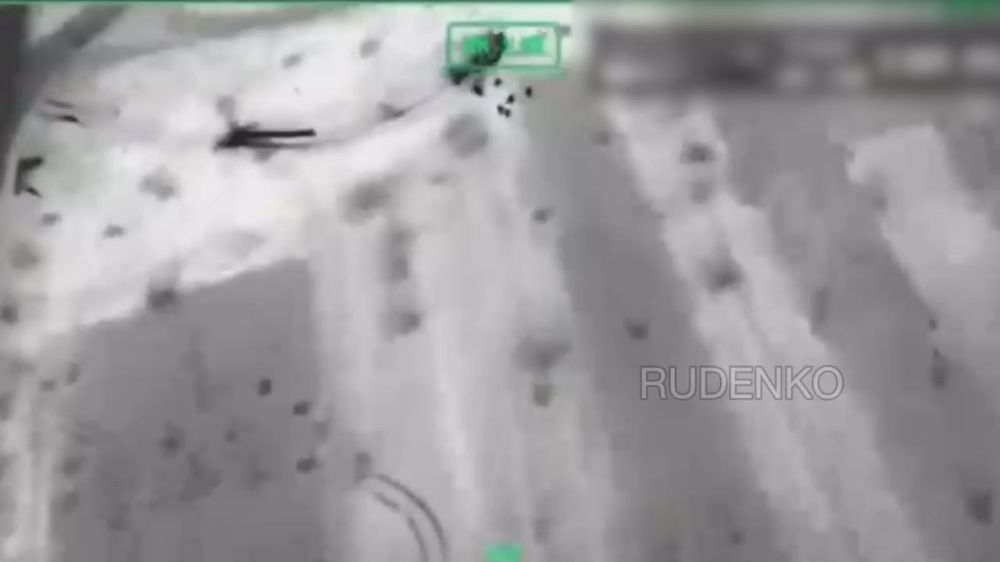  :         113      - 