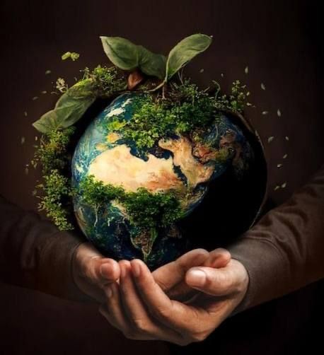 В рамках проекта «Месяц заботы об экологии» и акции «Эко-подарок» Управа Ворошиловского внутригородского района совместно с МБОУ Домом детского творчества Ворошиловского района запускают конкурс на создание экологичных...